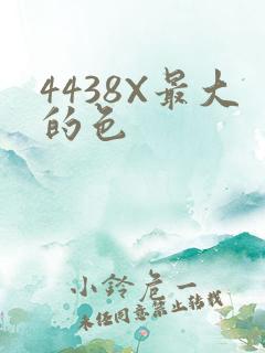 4438X最大的色