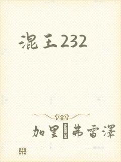 混王232