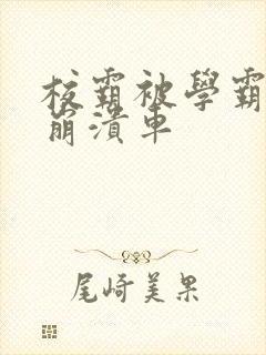 校霸被学霸玩到崩溃车