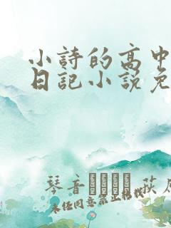 小诗的高中成长日记小说免费阅读
