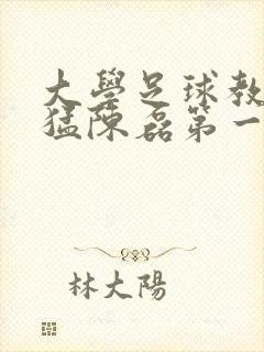 大学足球教练王猛陈磊第一篇