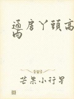 通房丫头高h纯肉