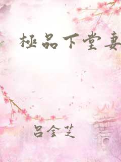 极品下堂妻