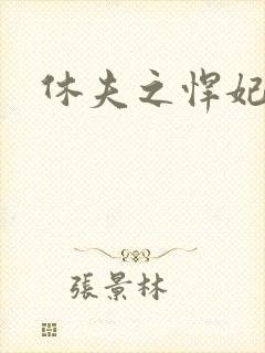 休夫之悍妃当道