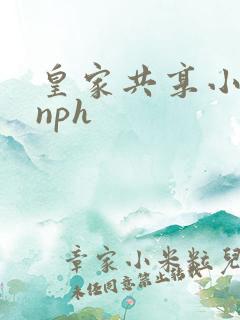 皇家共享小公主nph