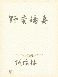 野蛮娇妻