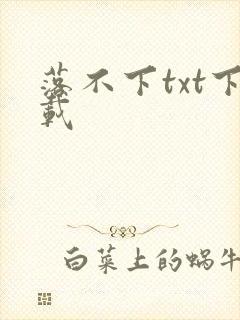 落不下txt下载