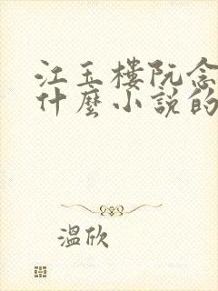 江玉楼阮念笙是什么小说的名字