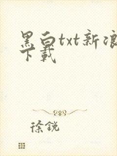 黑白txt新浪下载
