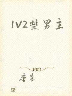 1V2双男主