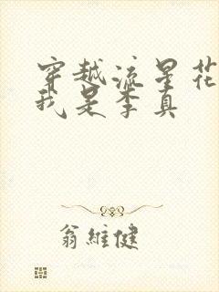 穿越流星花园之我是李真