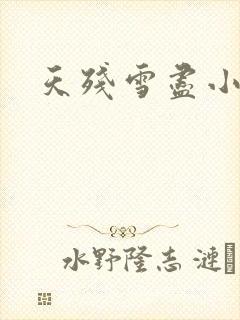 天残雪尽小说
