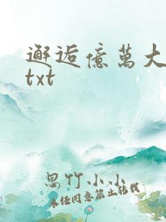 邂逅亿万大人物txt