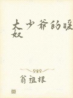 大少爷的暖床小奴