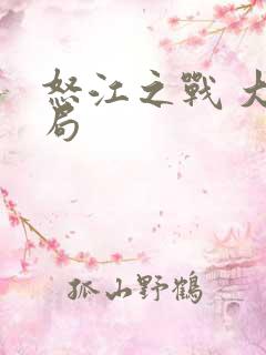 怒江之战 大结局