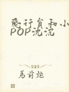 飞行员和小空乘POP沈沉