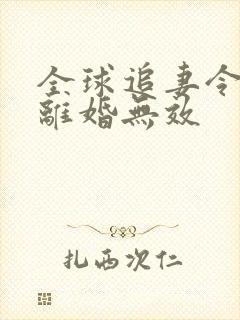 全球追妻令老婆离婚无效