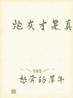 炮灰才是真绝色