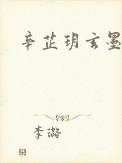 辛芷玥玄墨小说