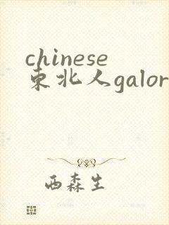 chinese东北人galore