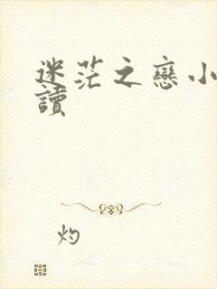 迷茫之恋小说阅读