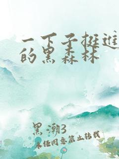 一下子挺进浓密的黑森林