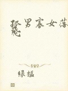 孤男寡女落瑛纷飞