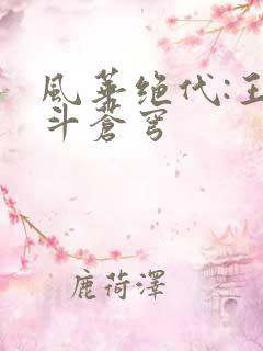 风华绝代:王妃斗苍穹