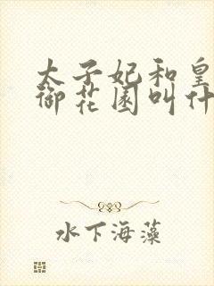 太子妃和皇帝在御花园叫什么小说