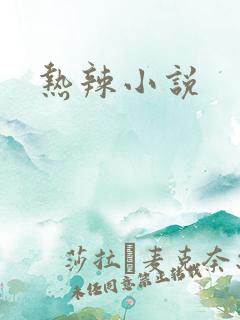 热辣小说