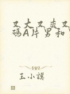 又大又爽又黄无码A片男和男