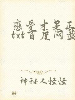 恋爱才是正经事txt百度网盘