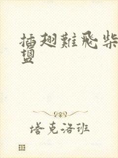 插翅难飞柴米油盐