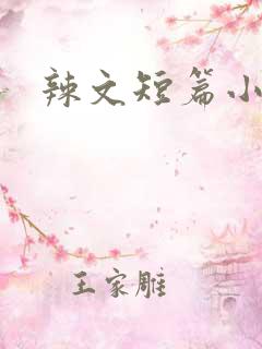 辣文短篇小说