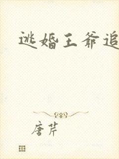 逃婚王爷追逃妃