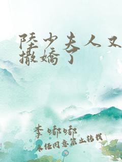 陆少夫人又双叒撒娇了