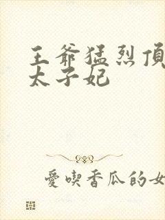 王爷猛烈顶弄H太子妃