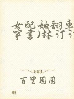 女配她翻车了(穿书)林汀汀