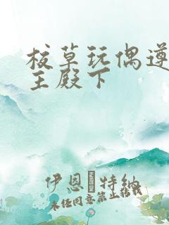 校草玩偶遵命公主殿下