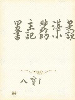 男主裴湛是省委书记的小说