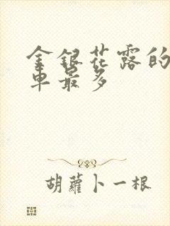 金银花露的哪个车最多