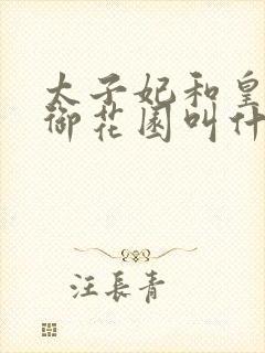 太子妃和皇帝在御花园叫什么小说