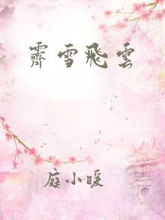 霁雪飞云