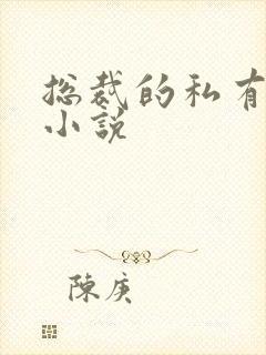 总裁的私有宝贝小说