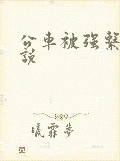 公车被强系列小说