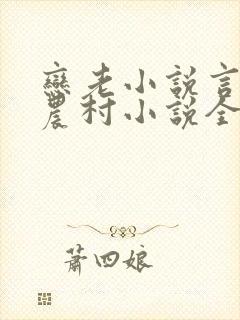 恋老小说言情网农村小说全文阅读