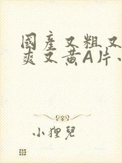 国产又粗又猛又爽又黄A片小说