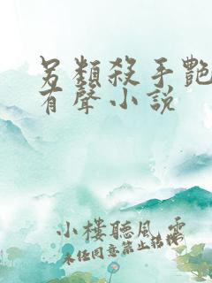 另类杀手艳福星有声小说