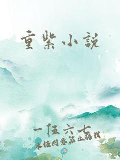 重紫小说