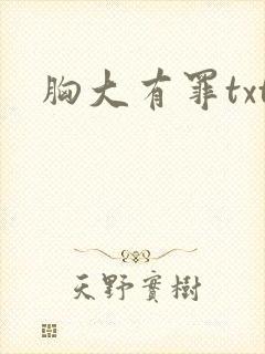 胸大有罪txt